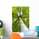 palm tree Wall Mural