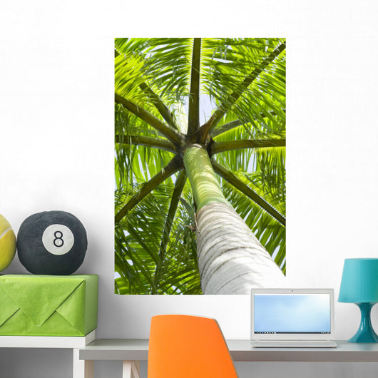 palm tree Wall Mural