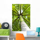 palm tree Wall Mural