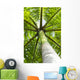 palm tree Wall Mural