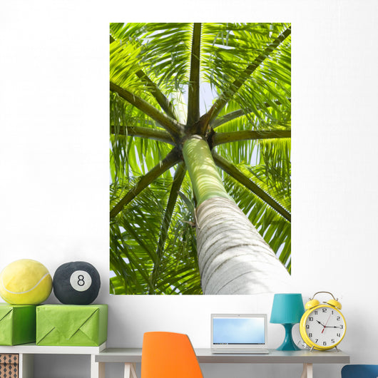 palm tree Wall Mural