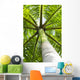 palm tree Wall Mural