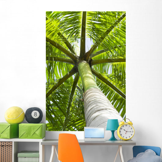 palm tree Wall Mural