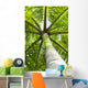 palm tree Wall Mural