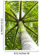 palm tree Wall Mural