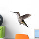 Isolated Ruby-Throated Hummingbird Wall Decal