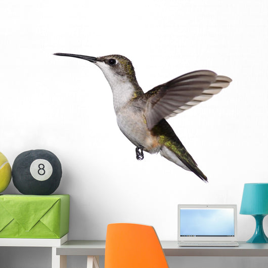 Isolated Ruby-Throated Hummingbird Wall Decal