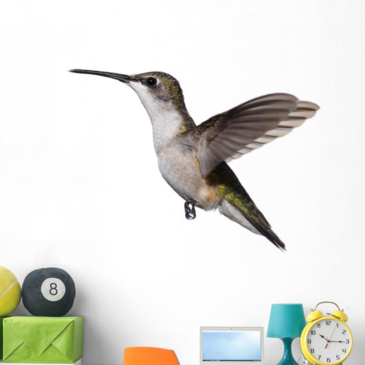 Isolated Ruby-Throated Hummingbird Wall Decal