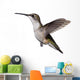 Isolated Ruby-Throated Hummingbird Wall Decal