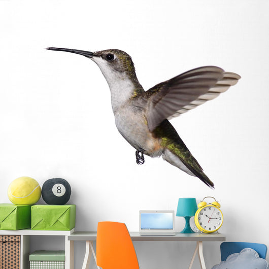 Isolated Ruby-Throated Hummingbird Wall Decal