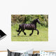 Friesian Horse Wall Mural