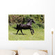 Friesian Horse Wall Mural