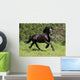 Friesian Horse Wall Mural