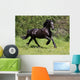 Friesian Horse Wall Mural