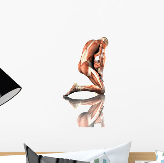 Male Kneeling Anatomy Wall Decal