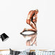 Male Kneeling Anatomy Wall Decal