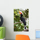 Rhinoceros Hornbill Wall Mural