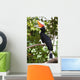 Rhinoceros Hornbill Wall Mural