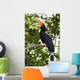 Rhinoceros Hornbill Wall Mural