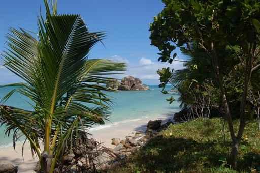 Plage Praslin Wall Decal