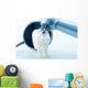 Healthy teeth concept. Real human wisdom tooth and  dental tools Wall Mural