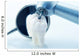 Healthy teeth concept. Real human wisdom tooth and  dental tools Wall Mural