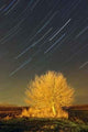 Time Passing Wall Decal