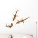 Lizard