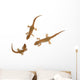 Lizard