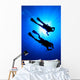 Scuba Diving Wall Mural