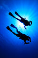 Scuba Diving Wall Mural