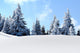 snow mountain trees Wall Mural