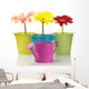 Colorful Buckets Watering Can and Gerberas Wall Decal