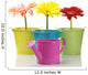 Colorful Buckets Watering Can and Gerberas Wall Decal