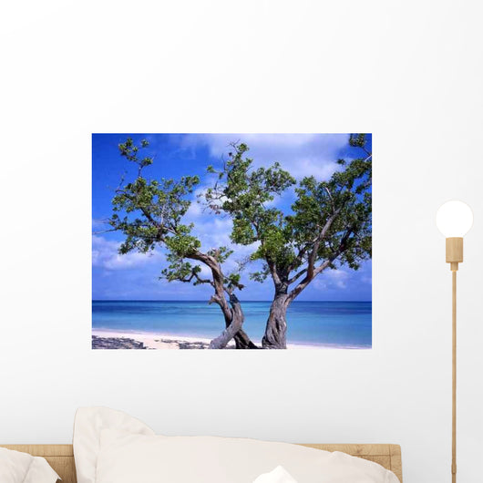 Tree Guardalavaca Beach Cuba Wall Decal