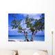 Tree Guardalavaca Beach Cuba Wall Decal