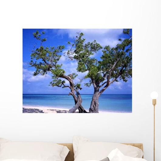 Tree Guardalavaca Beach Cuba Wall Decal