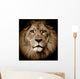 Lion Portrait Wall Mural
