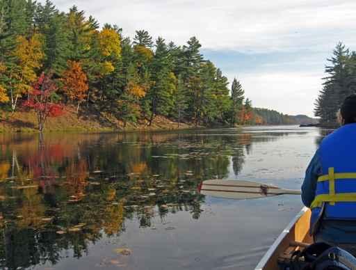 Canoeing Freeland Lake Wall Decal