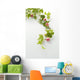 Ivy and roses Wall Decal