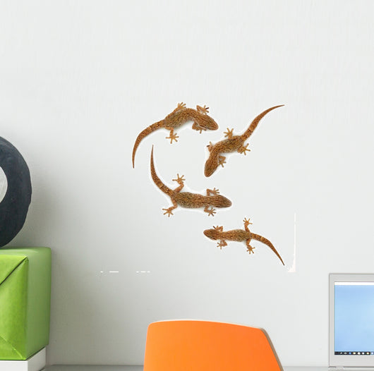 Four lizards Wall Decal