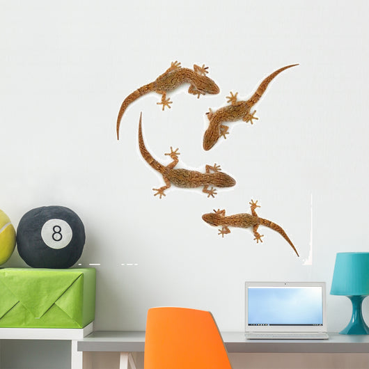 Four lizards Wall Decal