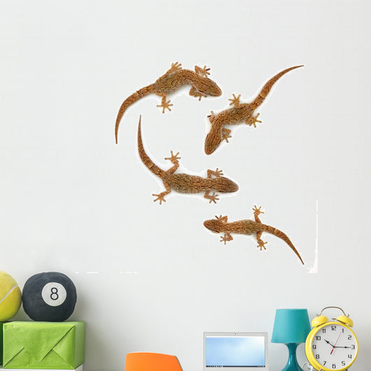 Four lizards Wall Decal
