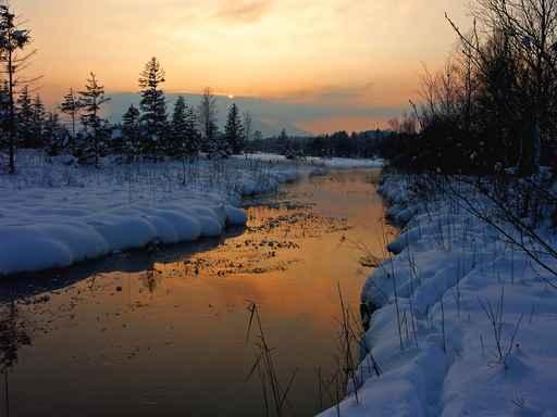 Evening Wall Decal