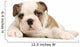 chiot bouledogue anglais Wall Decal