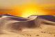 Sahara Desert Wall Decal Design 3