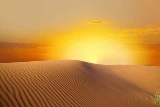 Sahara Desert Wall Decal Design 2