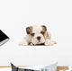 Puppy English Bulldog Wall Decal