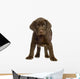 Chiot Labrador Devant One Fond Blanc Wall Decal