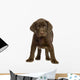 Chiot Labrador Devant One Fond Blanc Wall Decal